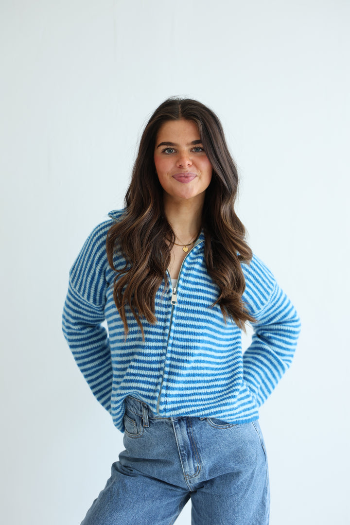 Zip Cardigan Fine Stripes
