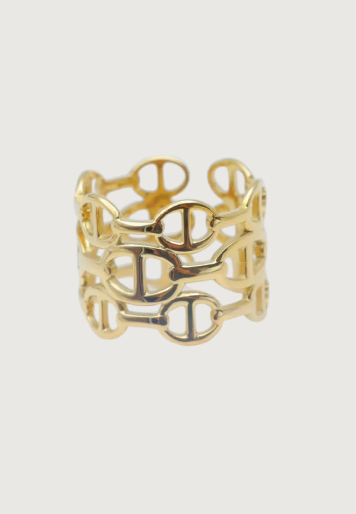 Ring Big Ornament