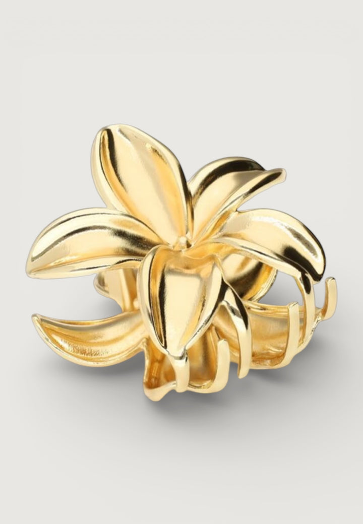 Haarspange Golden Hawai