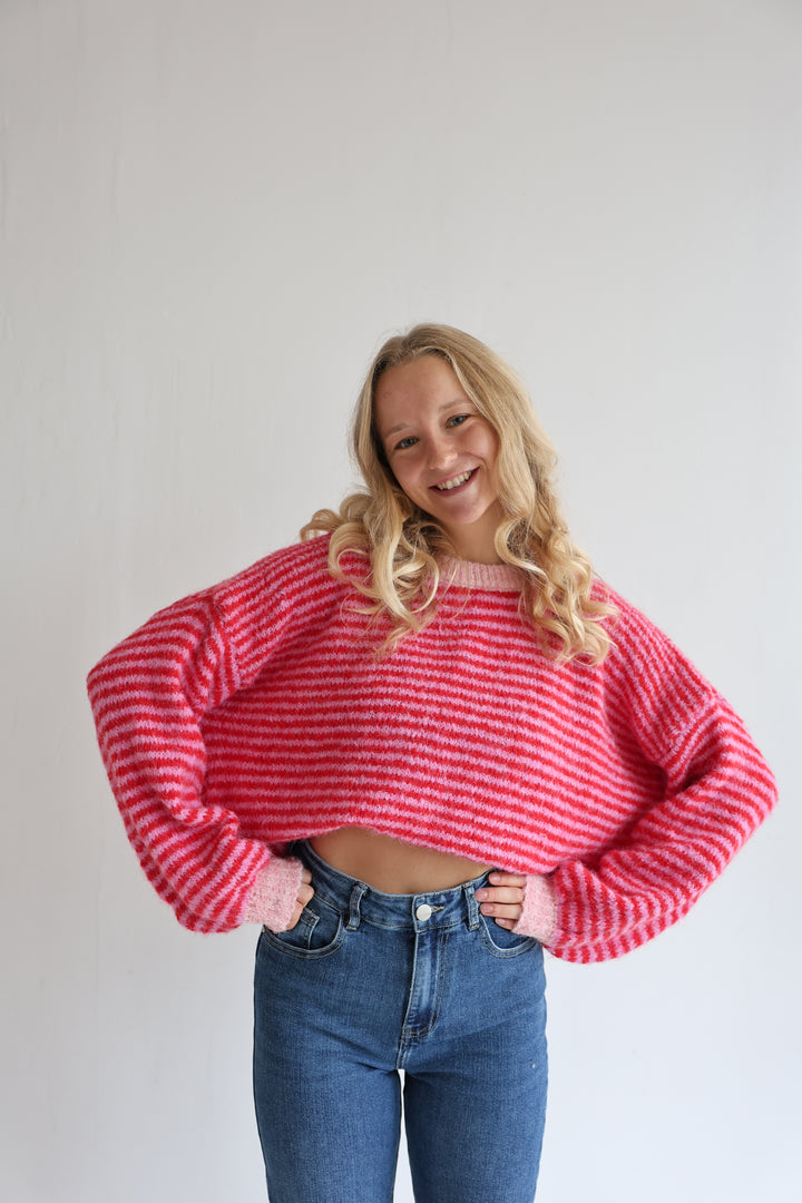 Gestreifter Pullover Moodline Knit