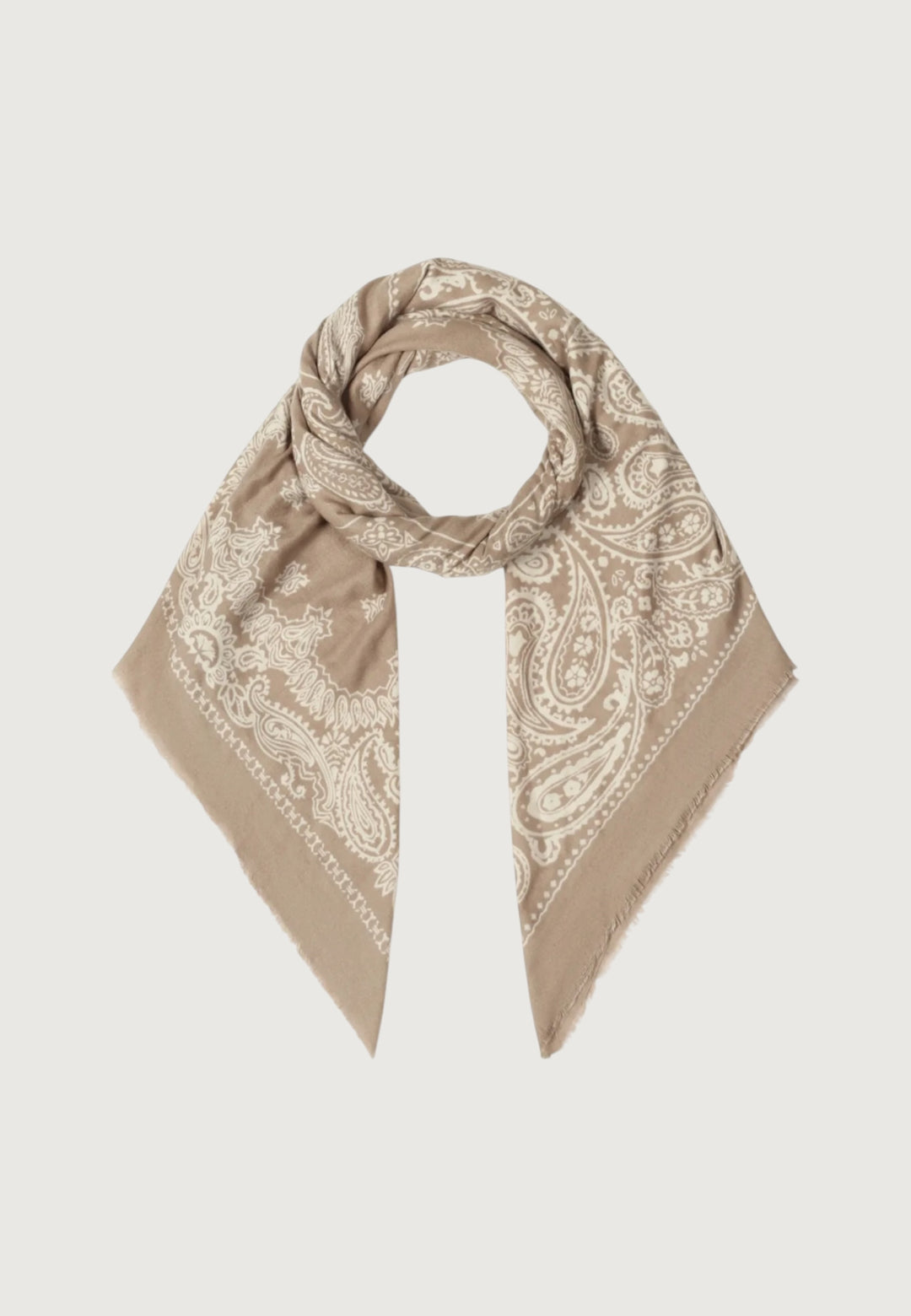 Vintage Paisley Scarf