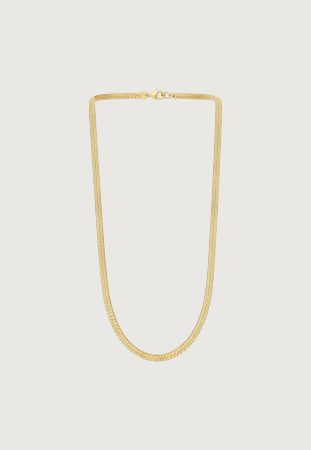 Snake Chain Necklace