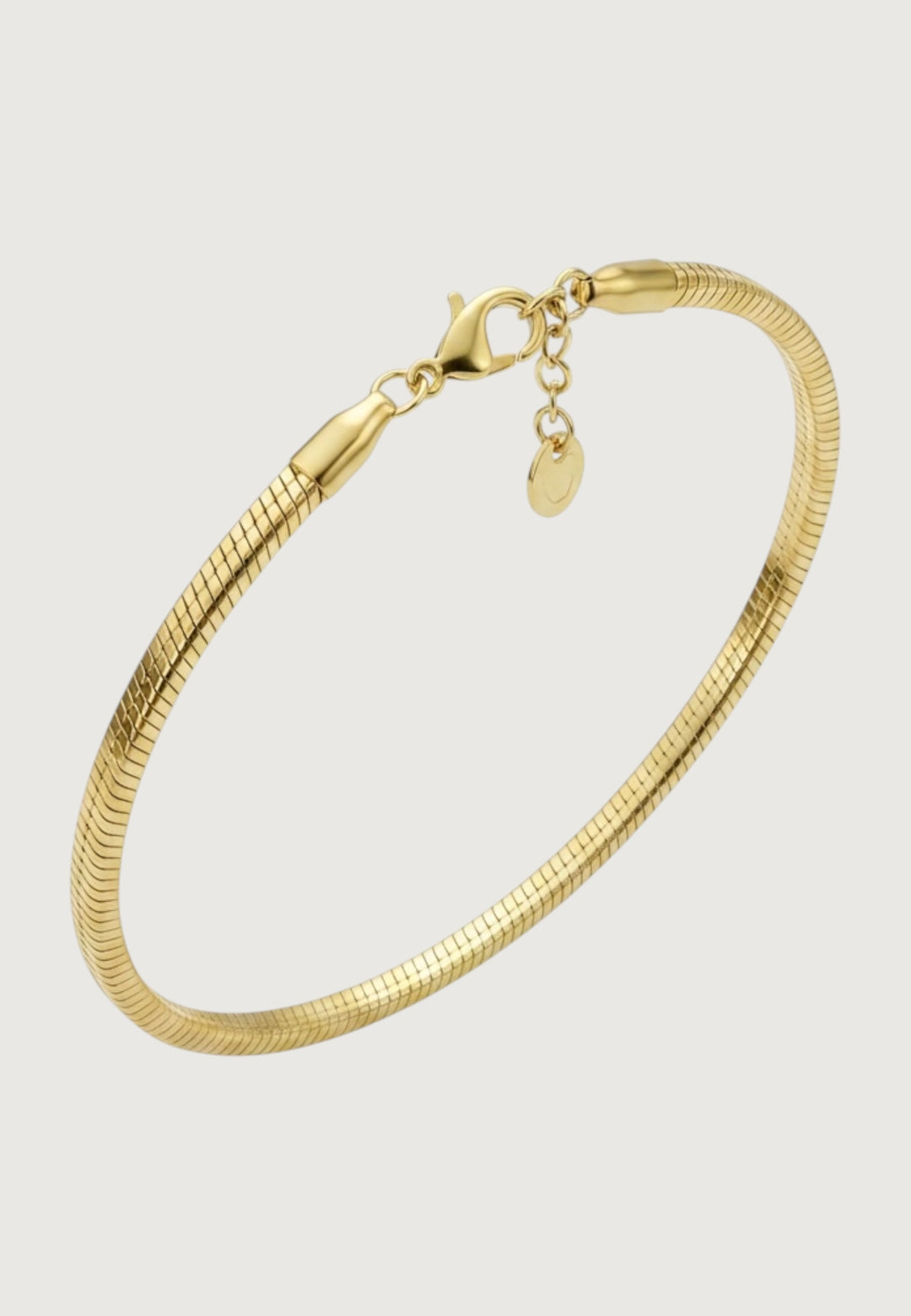 Snake Chain Bracelet