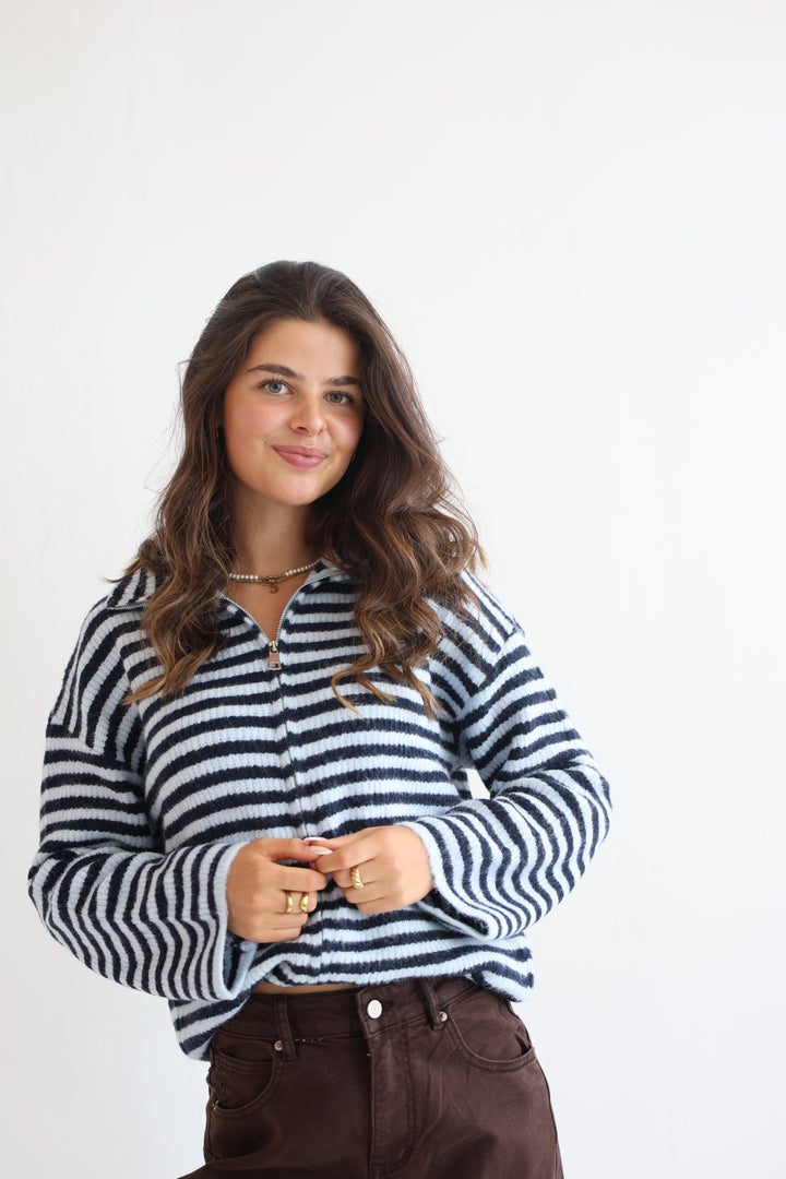 Striped Zip Cardigan