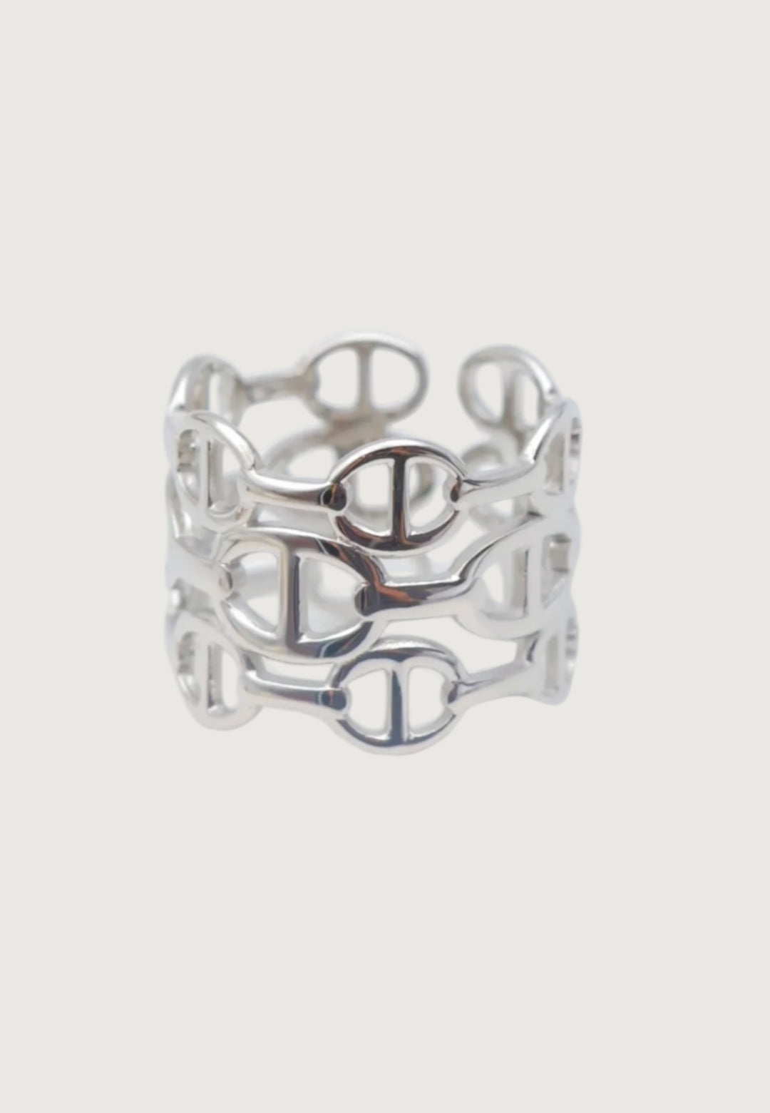 Ring Big Ornament