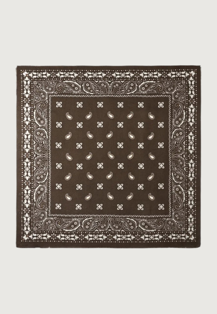 Vintage Paisley Scarf