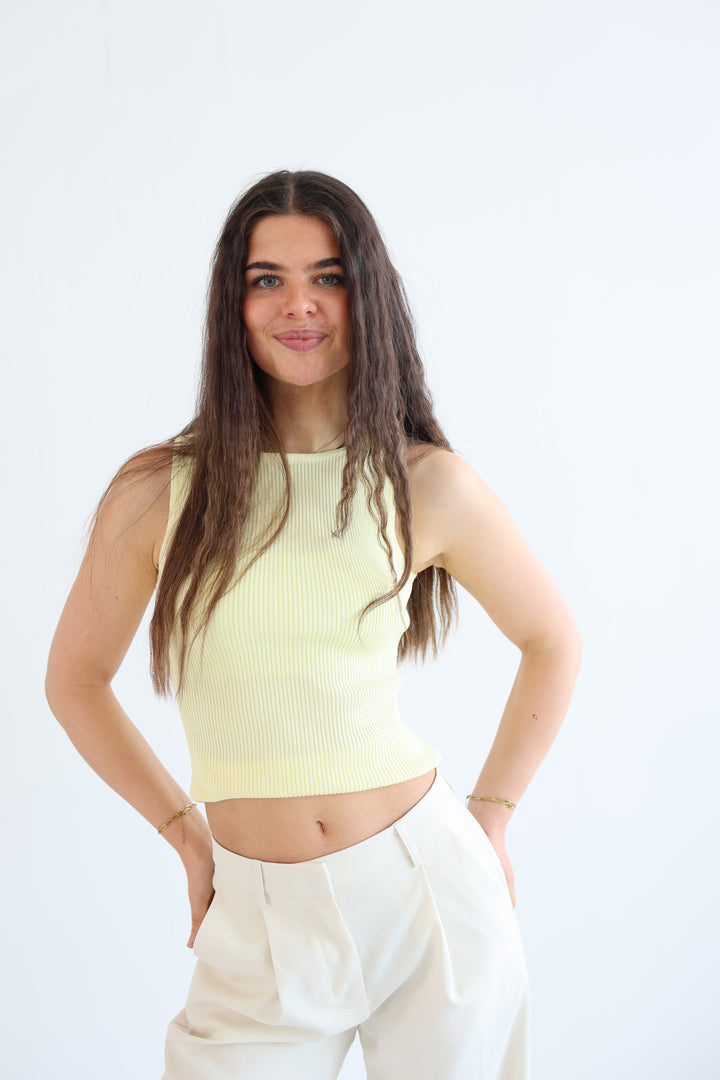 Stretch Ribbed Basic Top