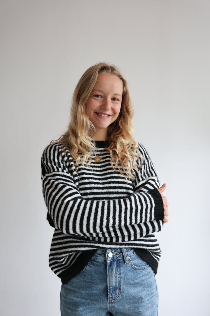 Pullover Pastell Lines