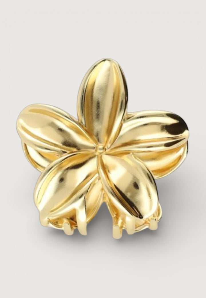 Haarspange Golden Hawai