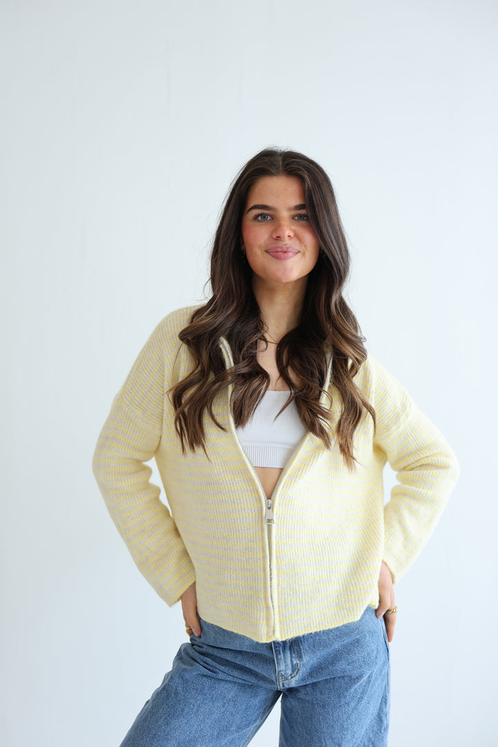 Zip Cardigan Fine Stripes