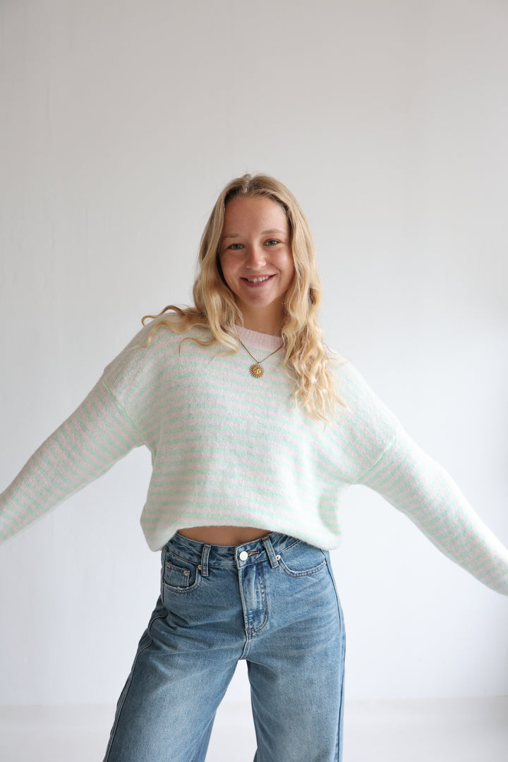 Pullover Pastell Lines