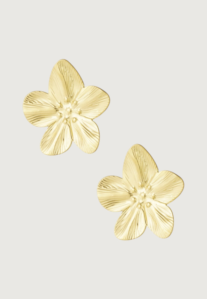 Ohrstecker Golden Daisys