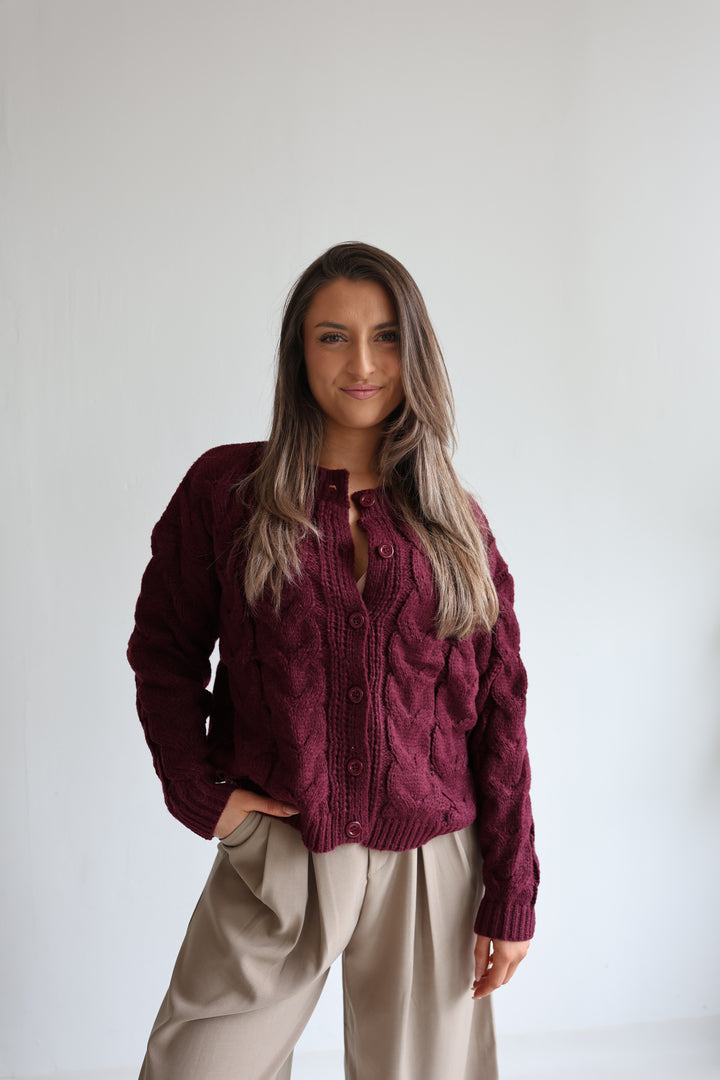 Luna Cable Knit Cardigan